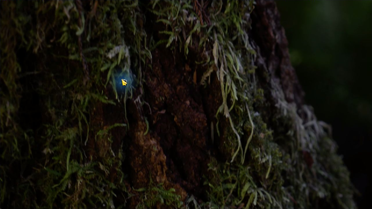 Player showing the bundled CC0 nature sample